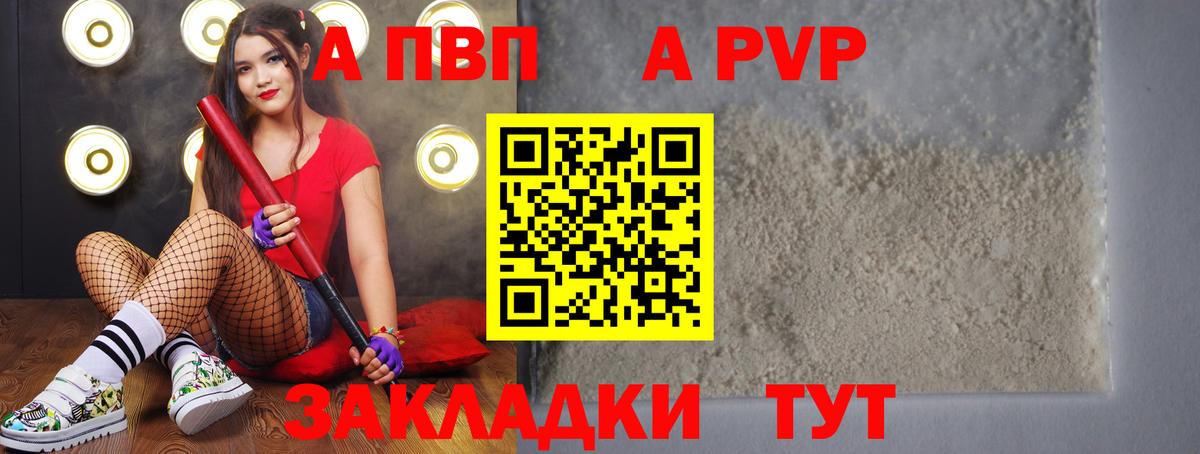 Alfa_PVP СК КРИС Горно-Алтайск