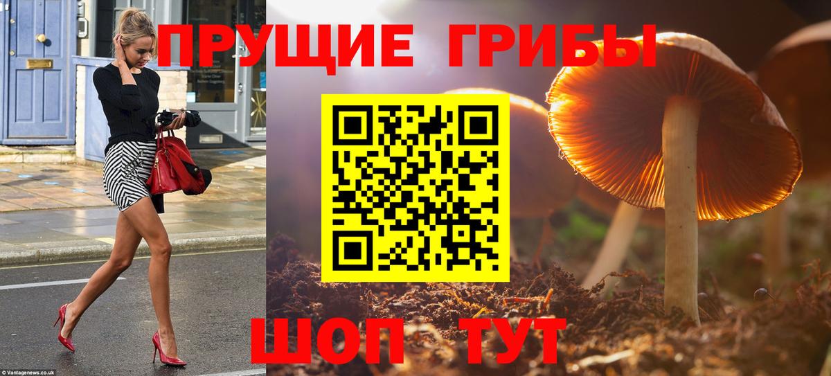 Псилоцибиновые грибы ЛСД Горно-Алтайск