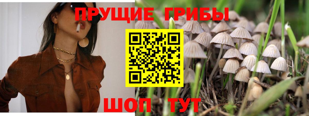 как найти наркотики  Галлюциногенные грибы мухоморы  Вход с VPN  Псилоцибиновые грибы мицелий  Горно-Алтайск 