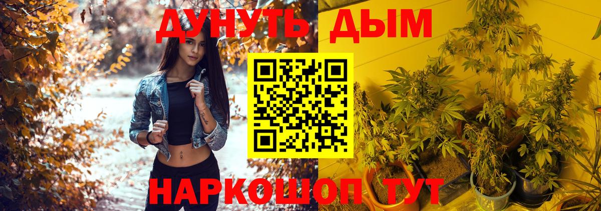 МАРИХУАНА Bruce Banner  Шишки марихуана план  Вход с VPN  МАРИХУАНА конопля  Горно-Алтайск 